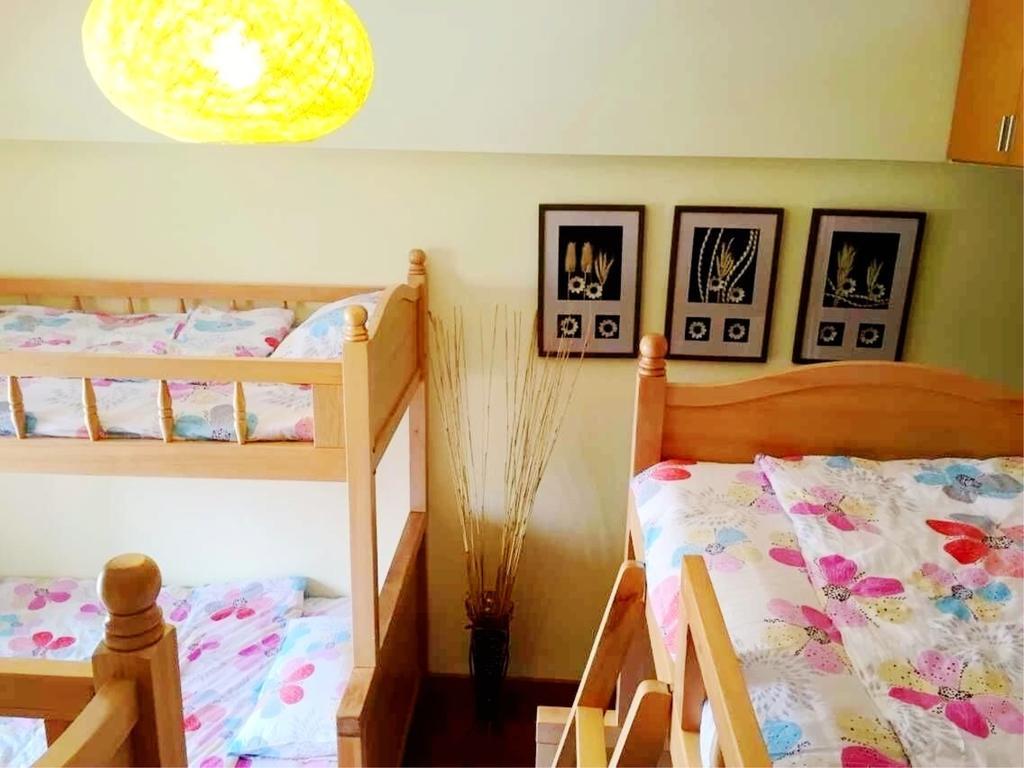 Kunming Cat Nest Female Youth Hostel Kültér fotó